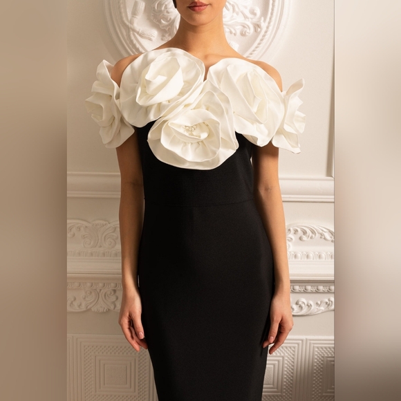 NWT Elegant Black and White Floral Dress - Picture 5 of 9